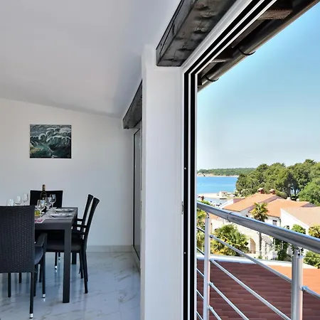 Ester Apartment Funtana